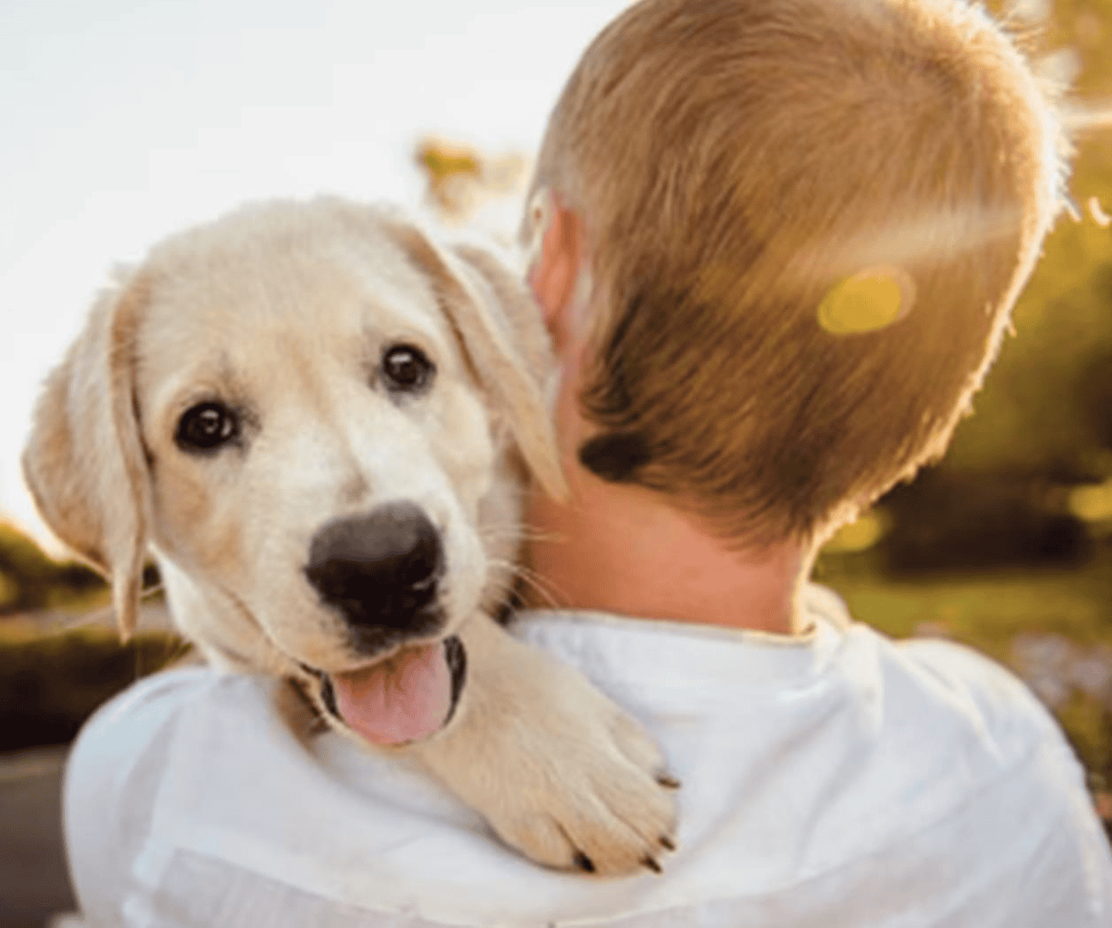 Día Mundial del Perro 2026: ¿por qué se celebra el 21 de julio?