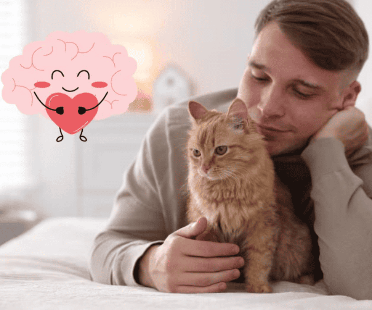 ¿Por qué abrazar a tu mascota reduce el estrés según la ciencia? ¿Por qué abrazar a tu mascota reduce el estrés según la ciencia?