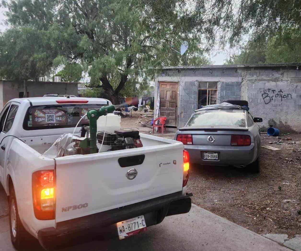 Activan jornada de fumigación