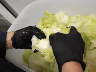 Tras caso de lechuga mexicana en EU, piden más presupuesto en sanidad