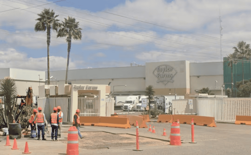 Cierre de planta Taylor Farms en Guanajuato es voluntario