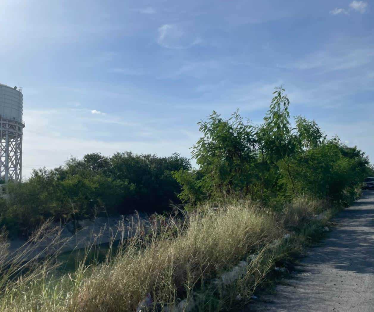 Canal Rodhe, entre maleza y el peligro
