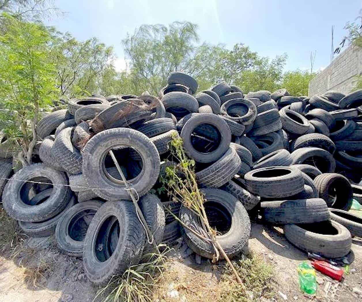 Clausuran foco de riesgo ambiental