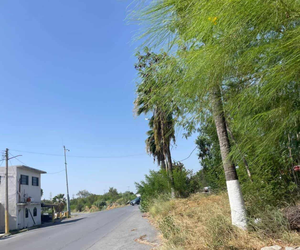 Maleza del Rodhe pone en riesgo a conductores