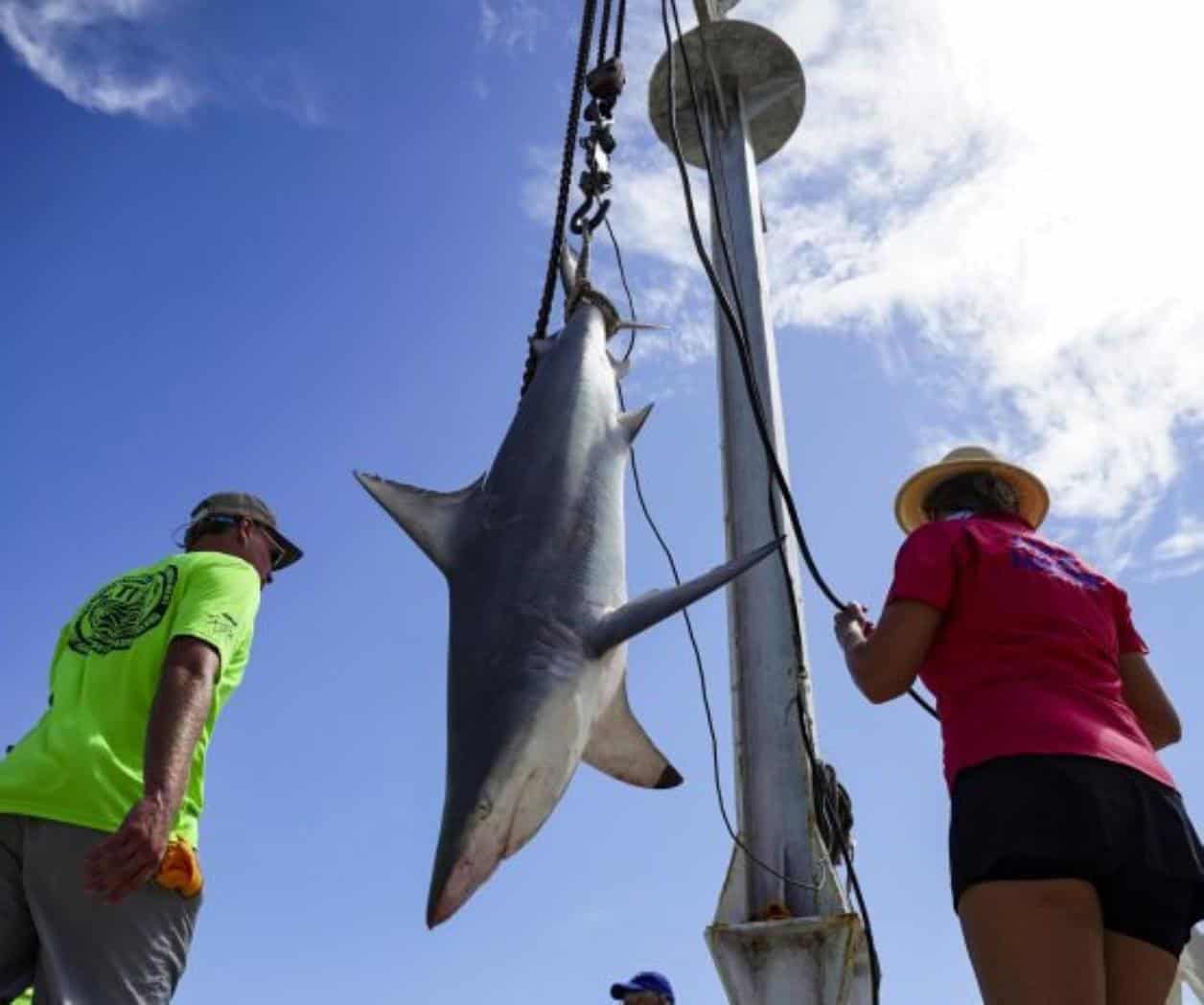 Se abren las inscripciones para torneo de pesca