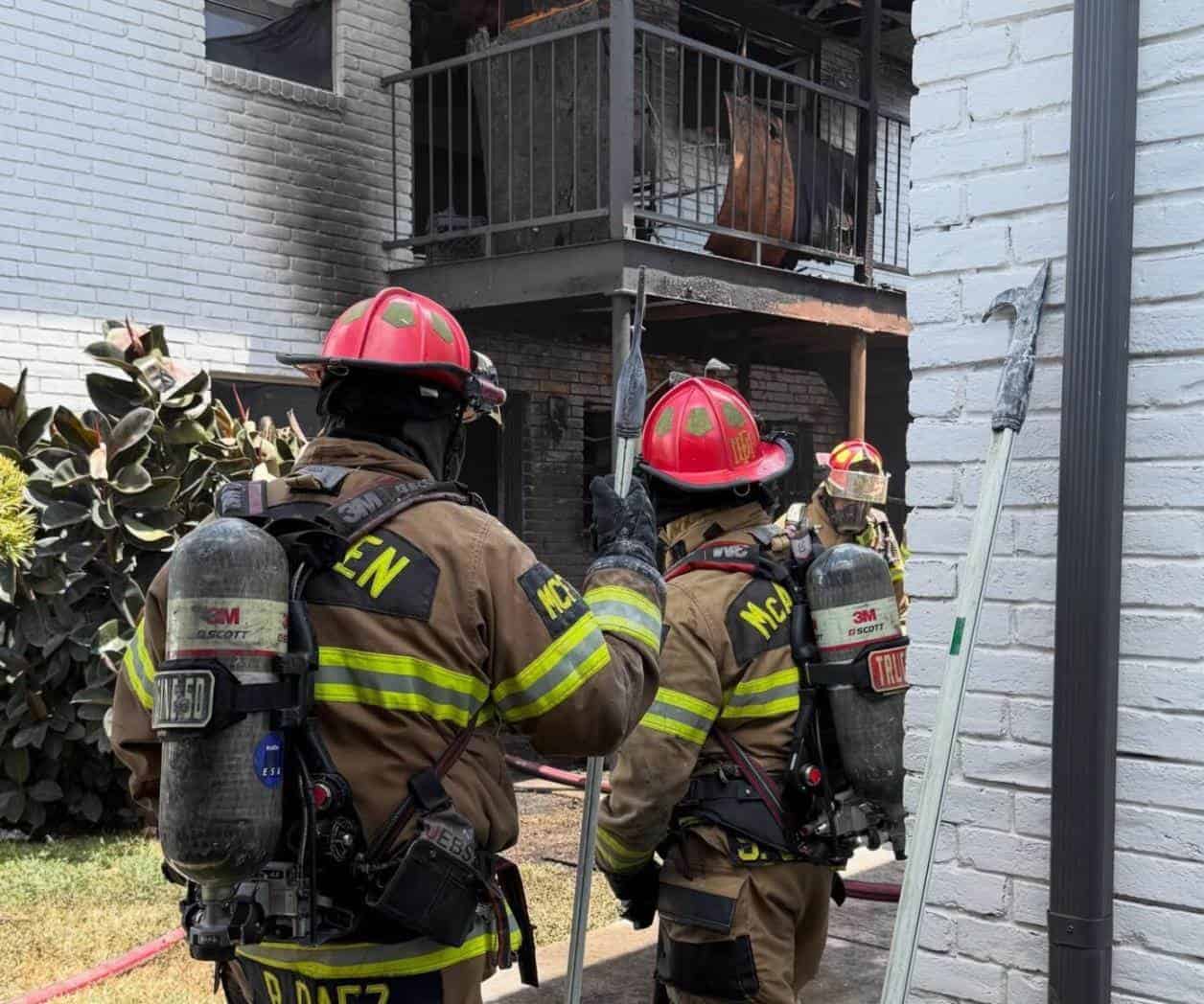 Rescatan a perra beagle de incendio en un apartamento