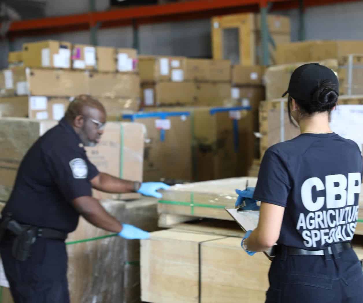 Destapa CBP evasión histórica de aranceles