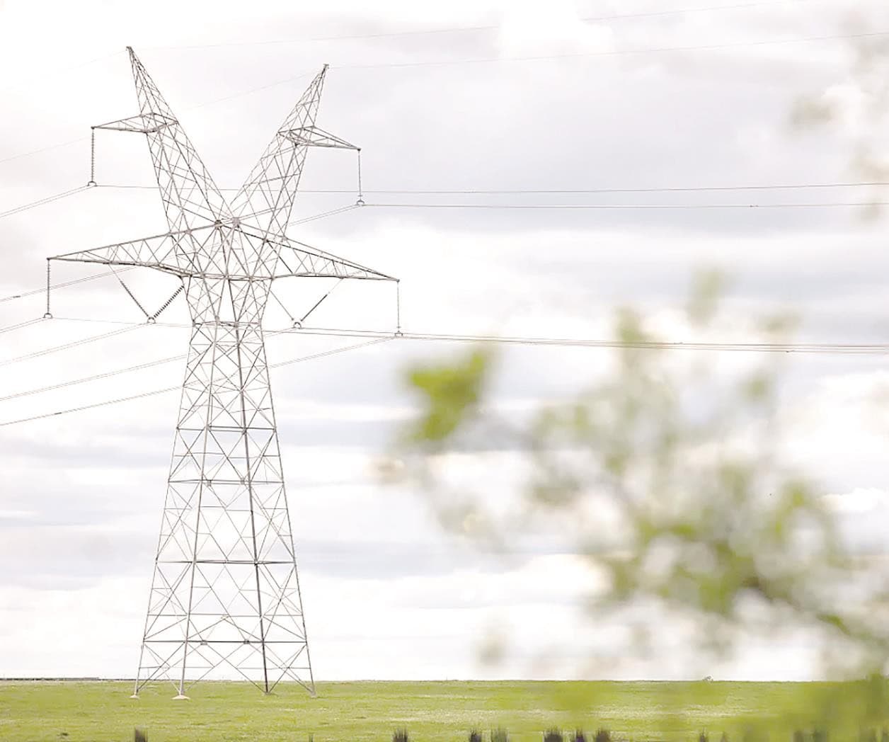 Cuestionan proyecto de líneas de transmisión de alto voltaje
