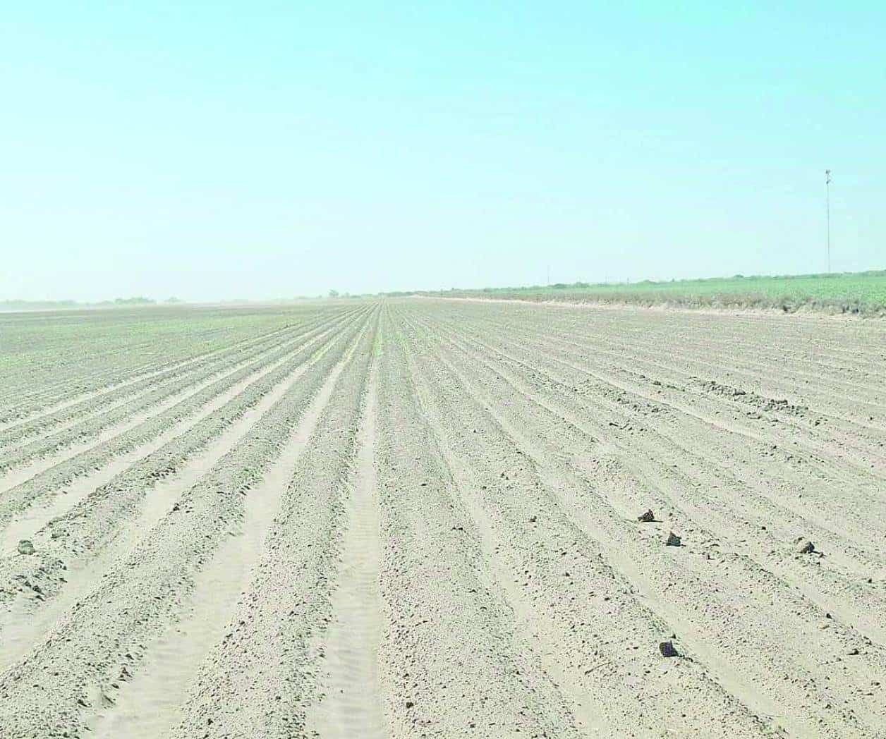 Deja tormenta poca agua para ayudar al área rural