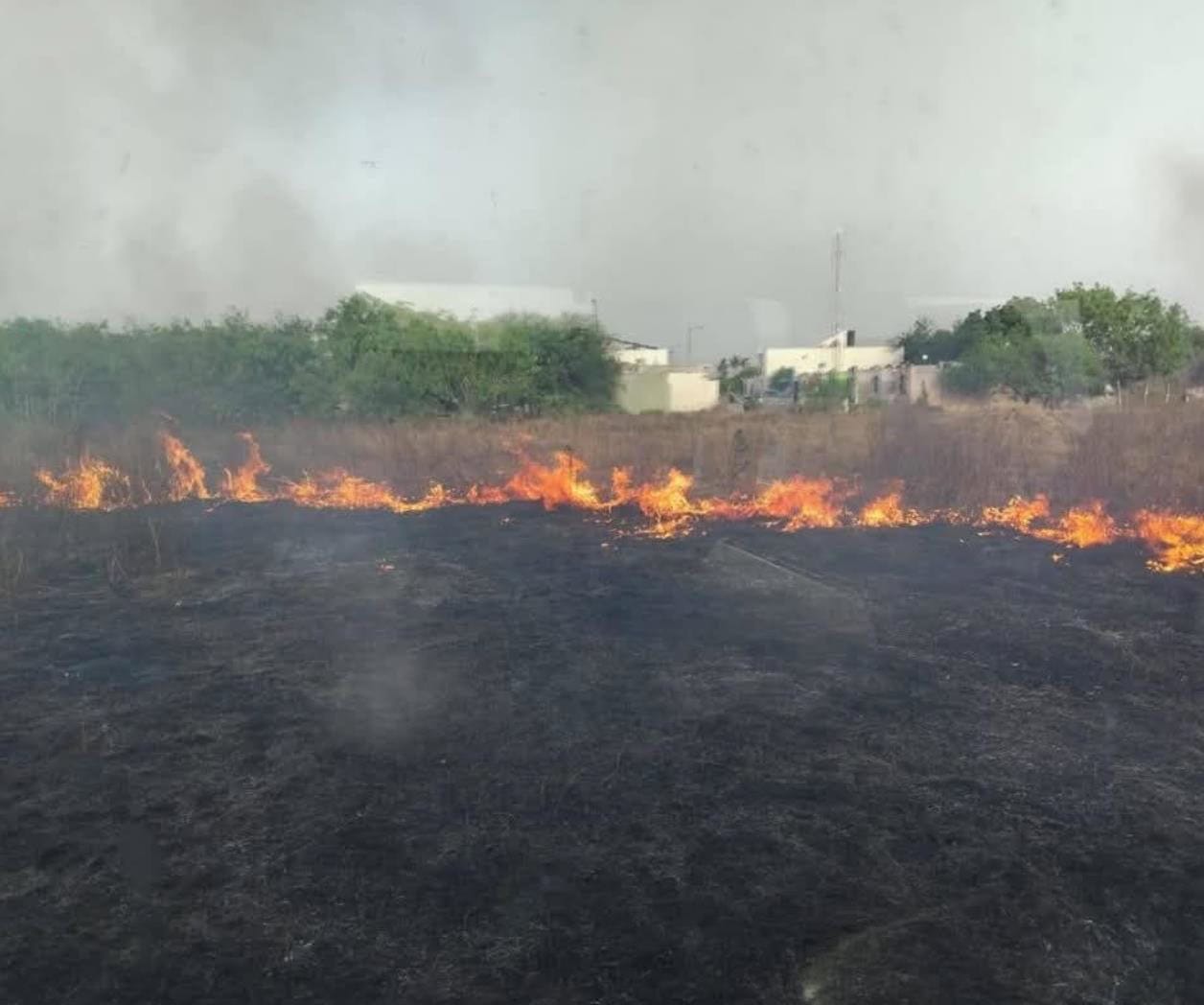 Aumentan incendios