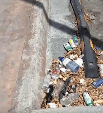 Ciudadanos reportan abandono en la calle Oaxaca de Reynosa