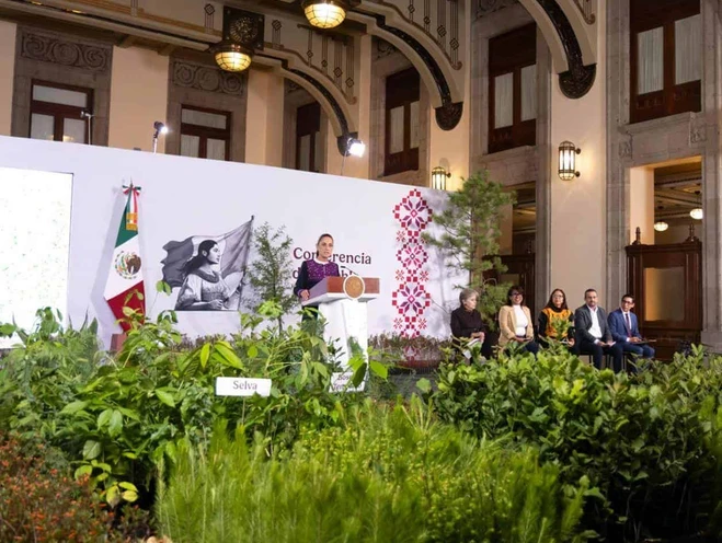 Anuncian Jornada Nacional de Reforestación