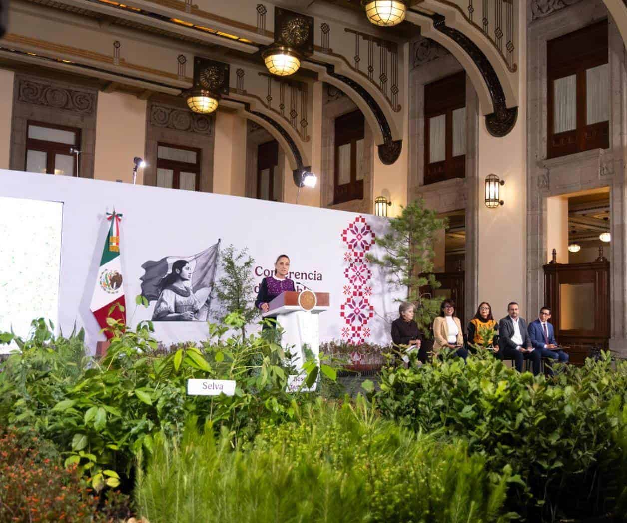 Anuncian Jornada Nacional de Reforestación