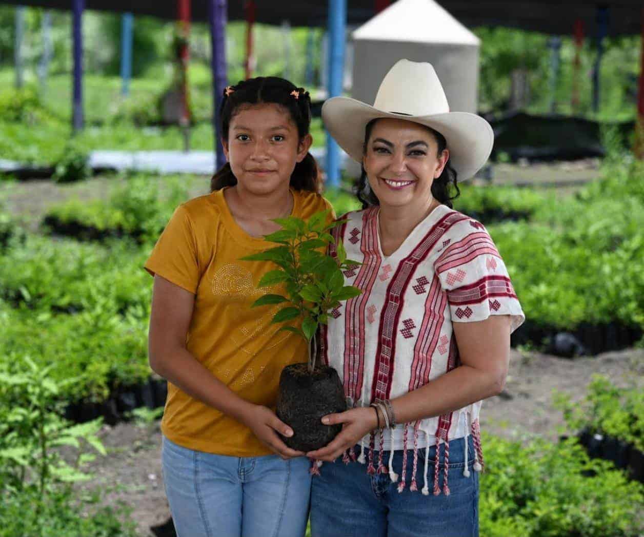 Va el Senado por relevo en el campo