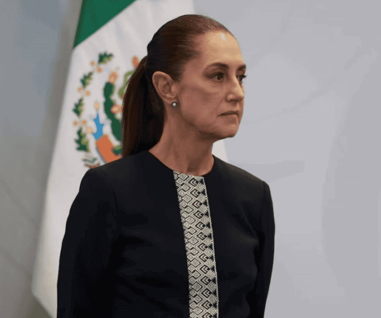 Sheinbaum anuncia jornada nacional de reforestación
