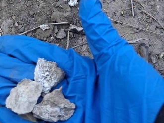 Nuevo hallazgo de fosa clandestina