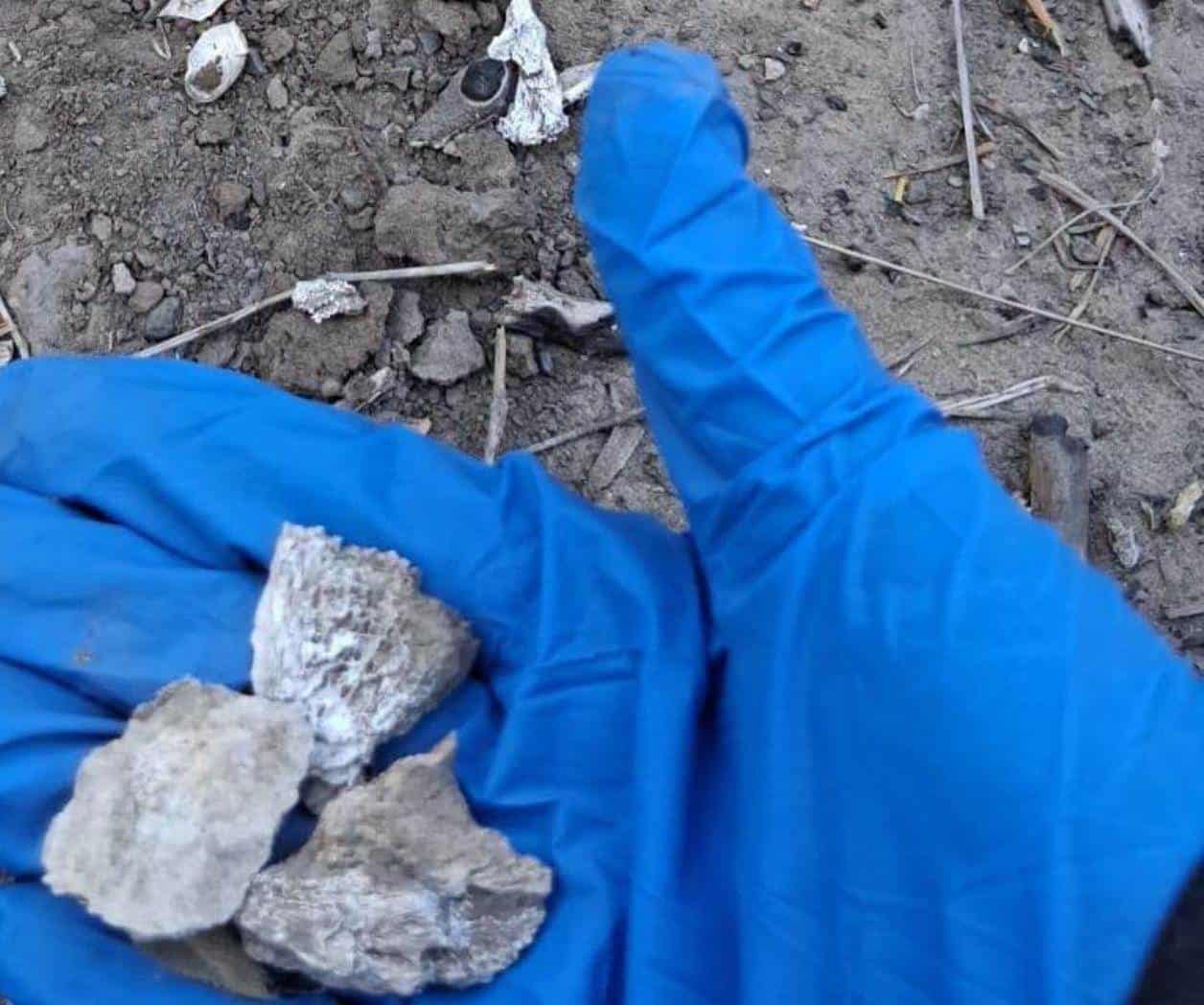 Nuevo hallazgo de fosa clandestina
