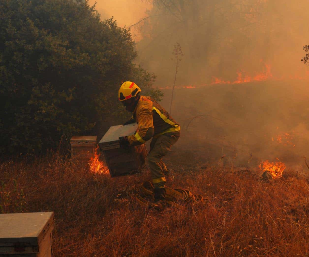 Hombre muere en incendio de una vivienda en Monterrey