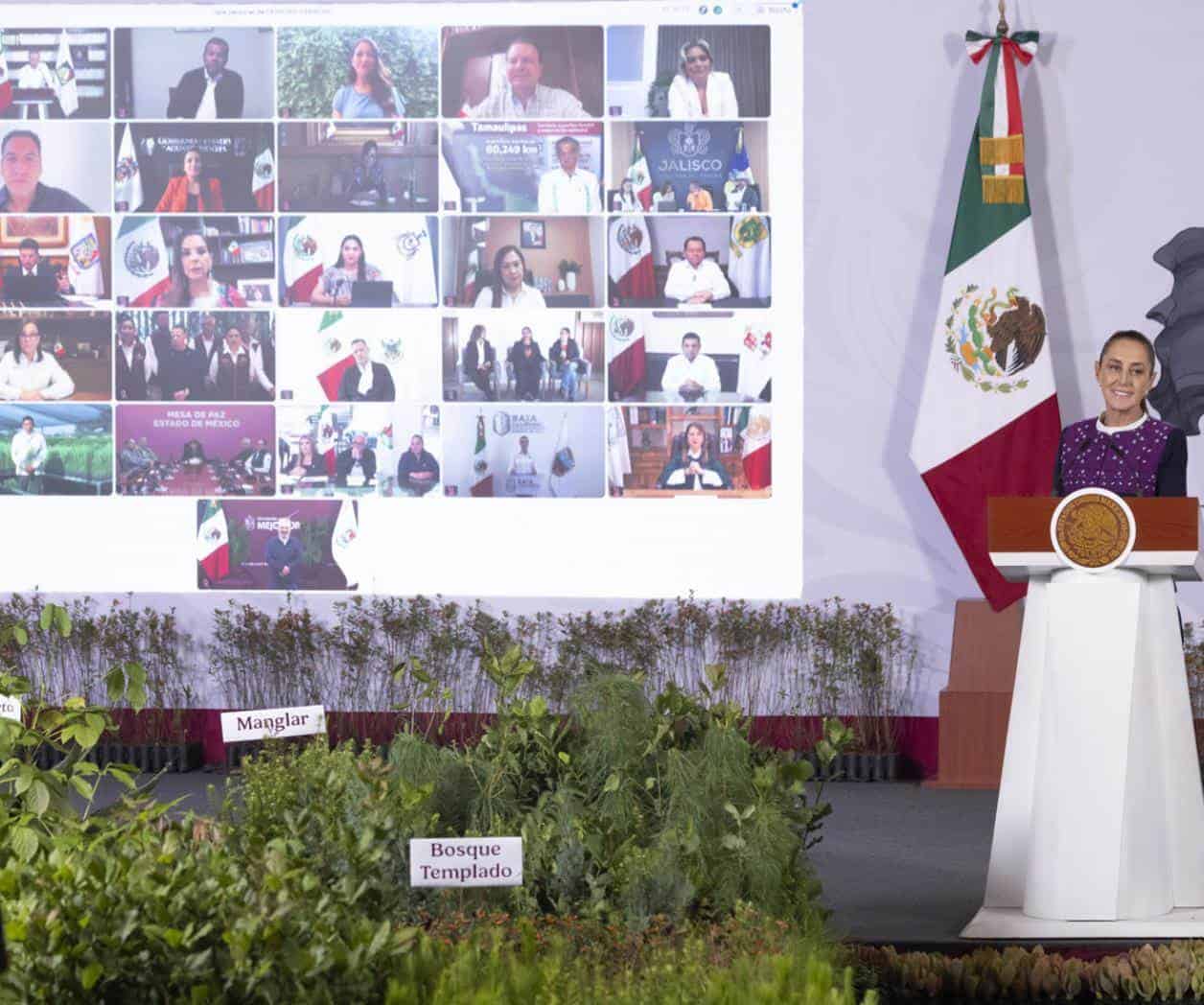 Convoca Sheinbaum  a reforestar México