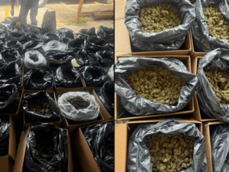 SSPC detiene a narcotraficante con 300 kilos de marihuana en Tabasco