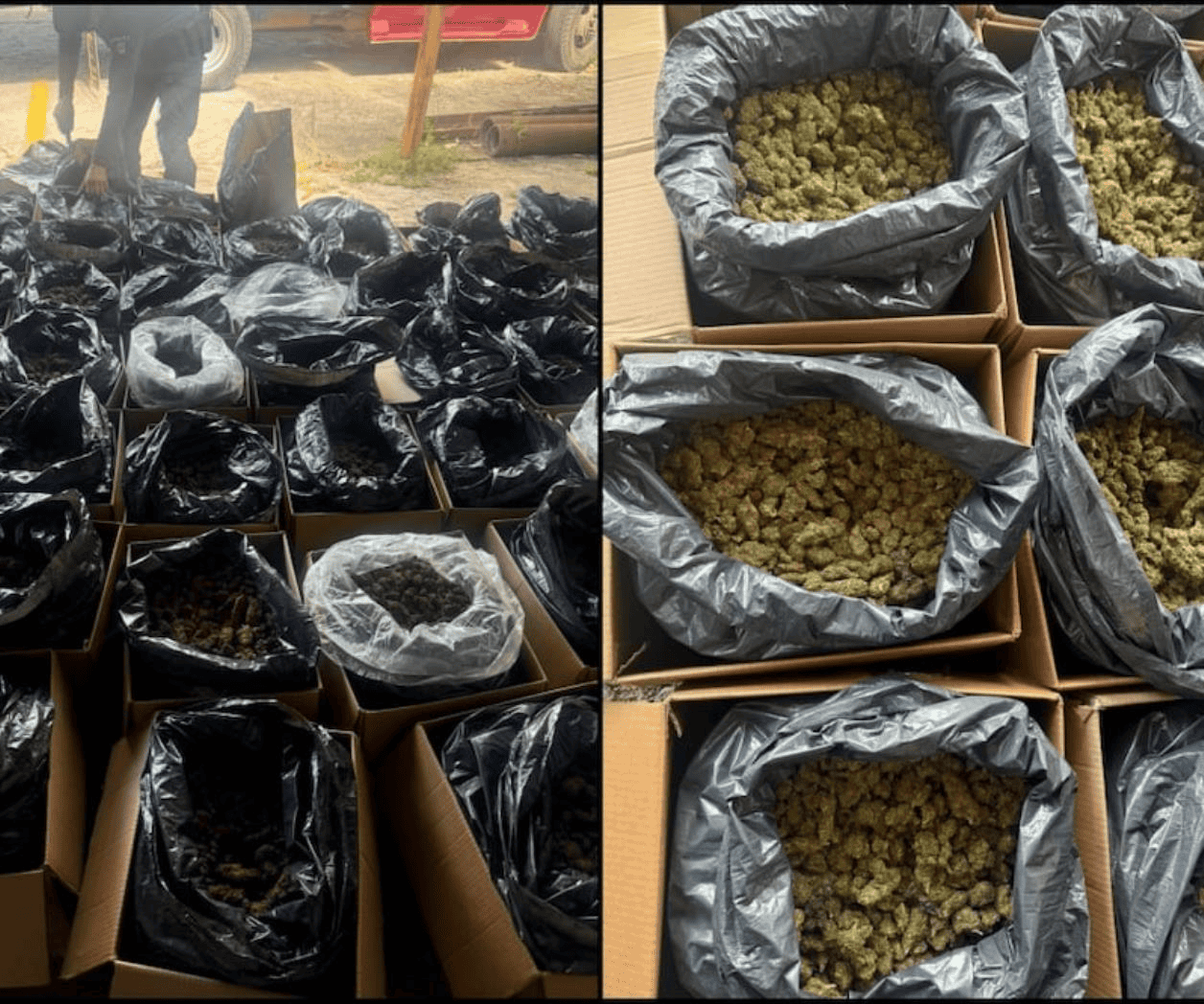 SSPC detiene a narcotraficante con 300 kilos de marihuana en Tabasco