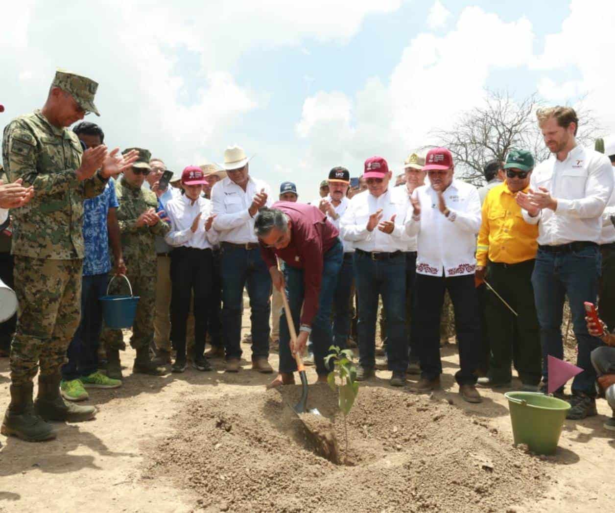 Participa Tamaulipas en la Jornada Nacional de Reforestación 2026