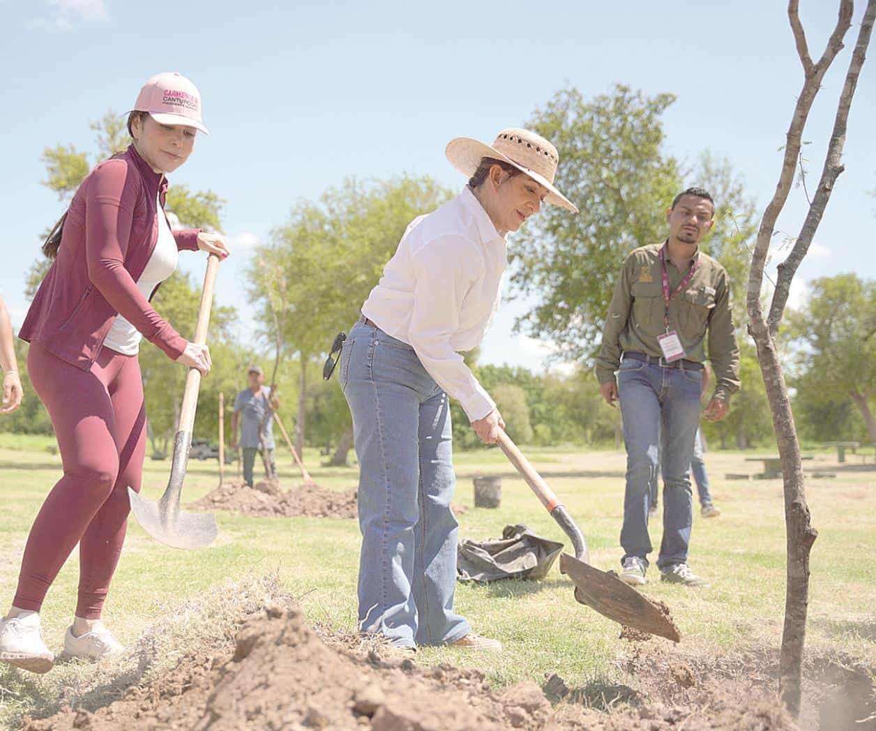 Más árboles para Nuevo Laredo