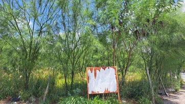 Piden rescatar terreno para parque infantil