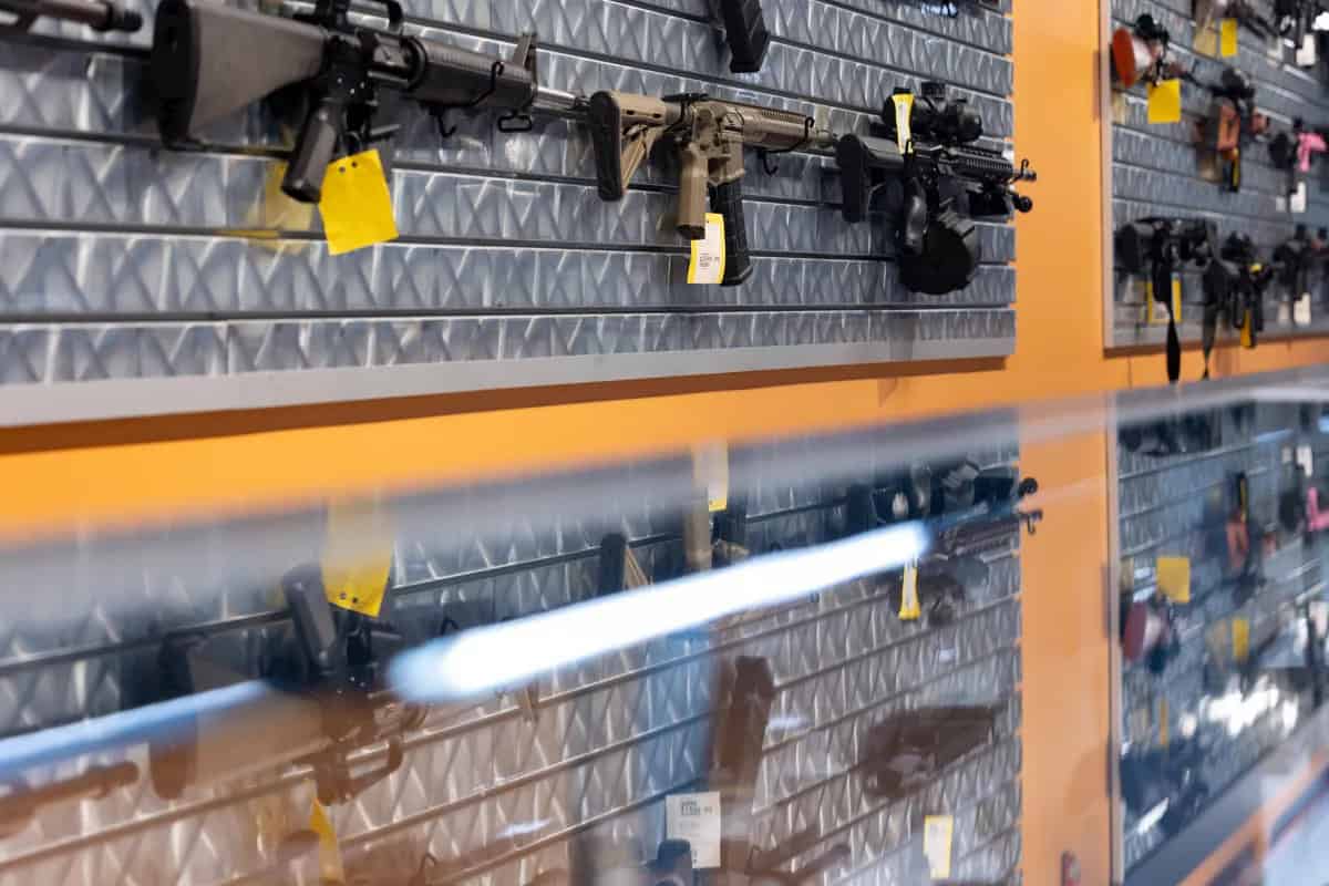Se levantan restricciones de ciertas armas de fuego