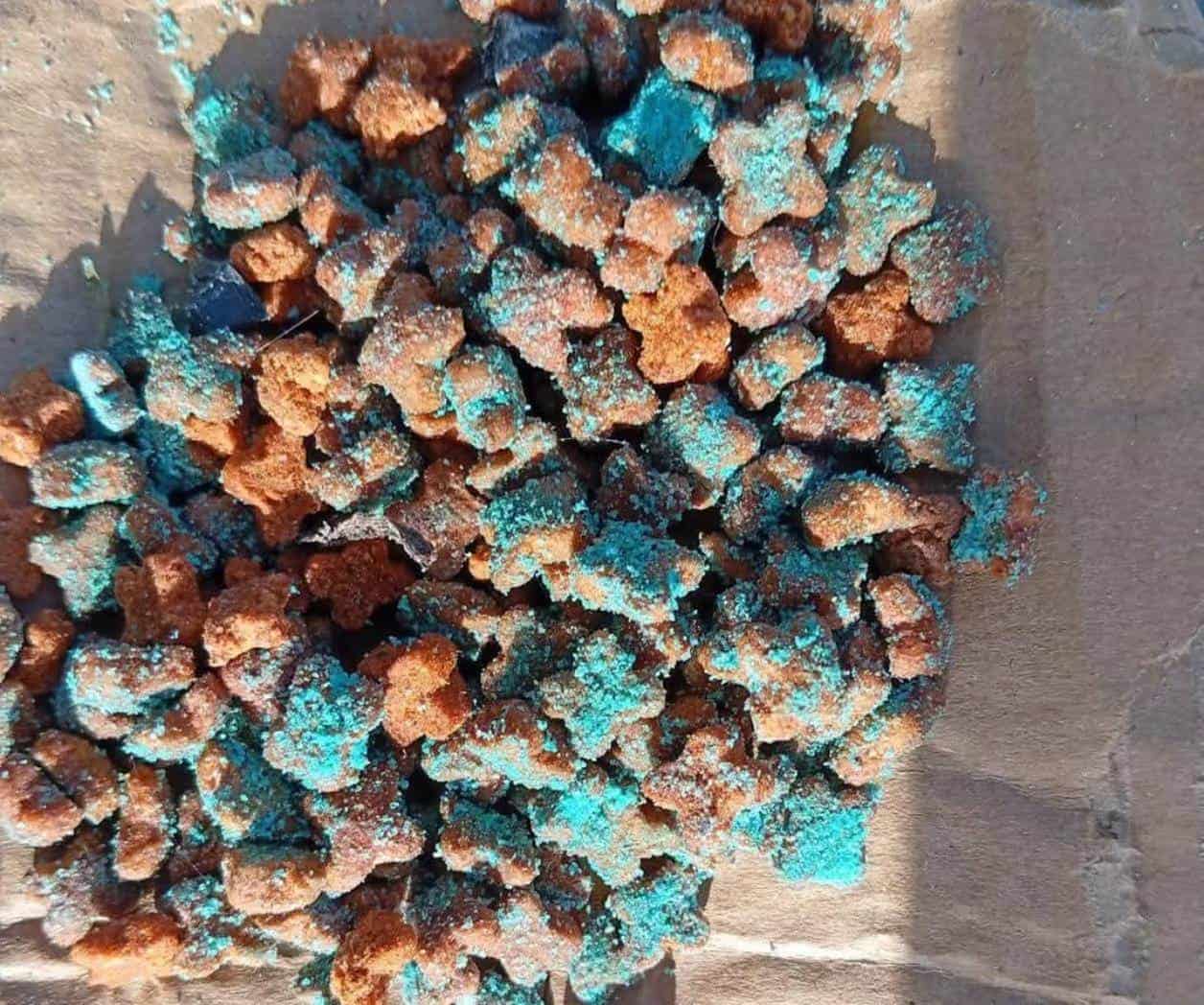 Alertan por croquetas envenenadas en la calle