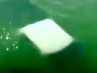  Mueren cuatro marinos tras caer a río en Soto la Marina