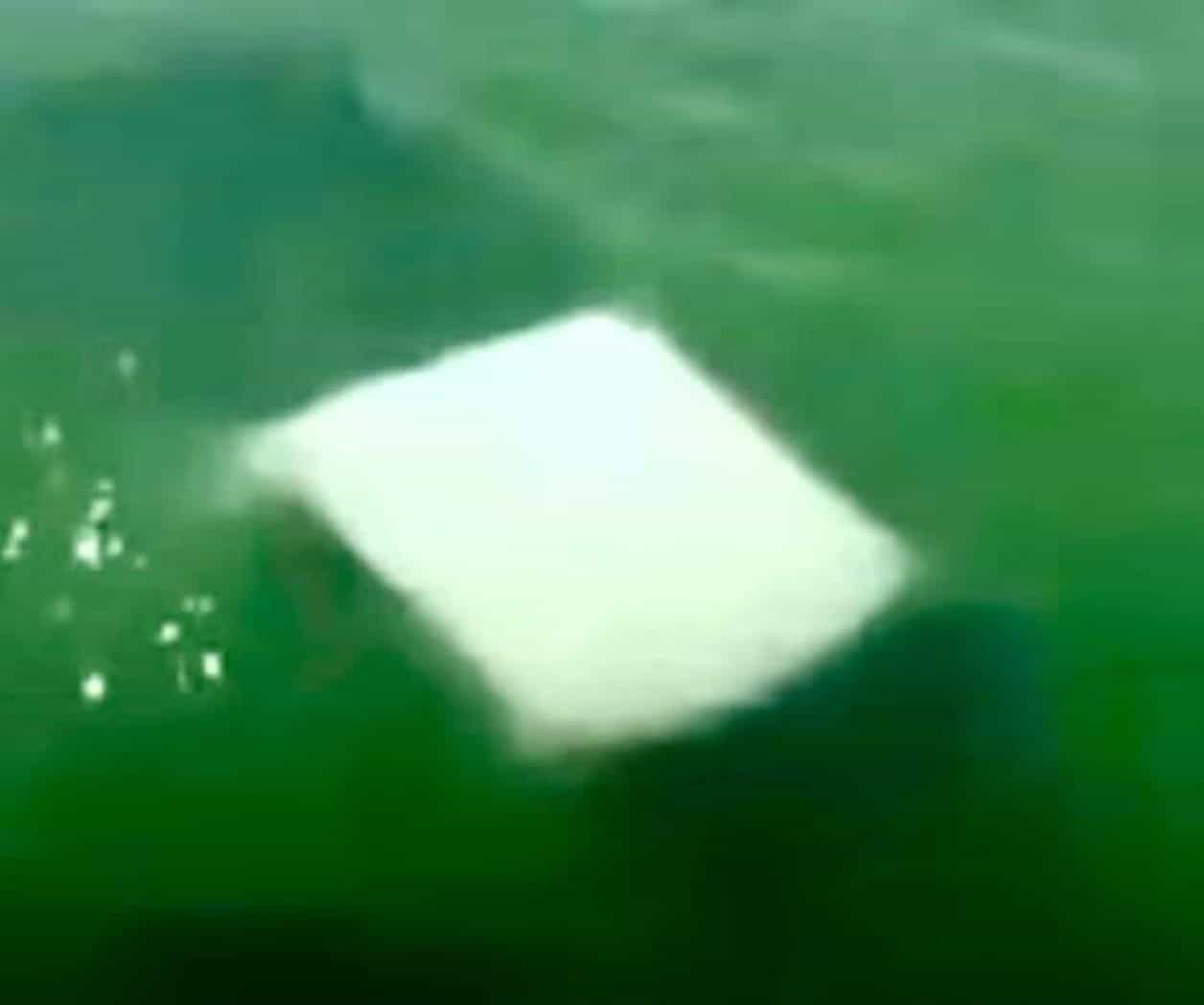  Mueren cuatro marinos tras caer a río en Soto la Marina