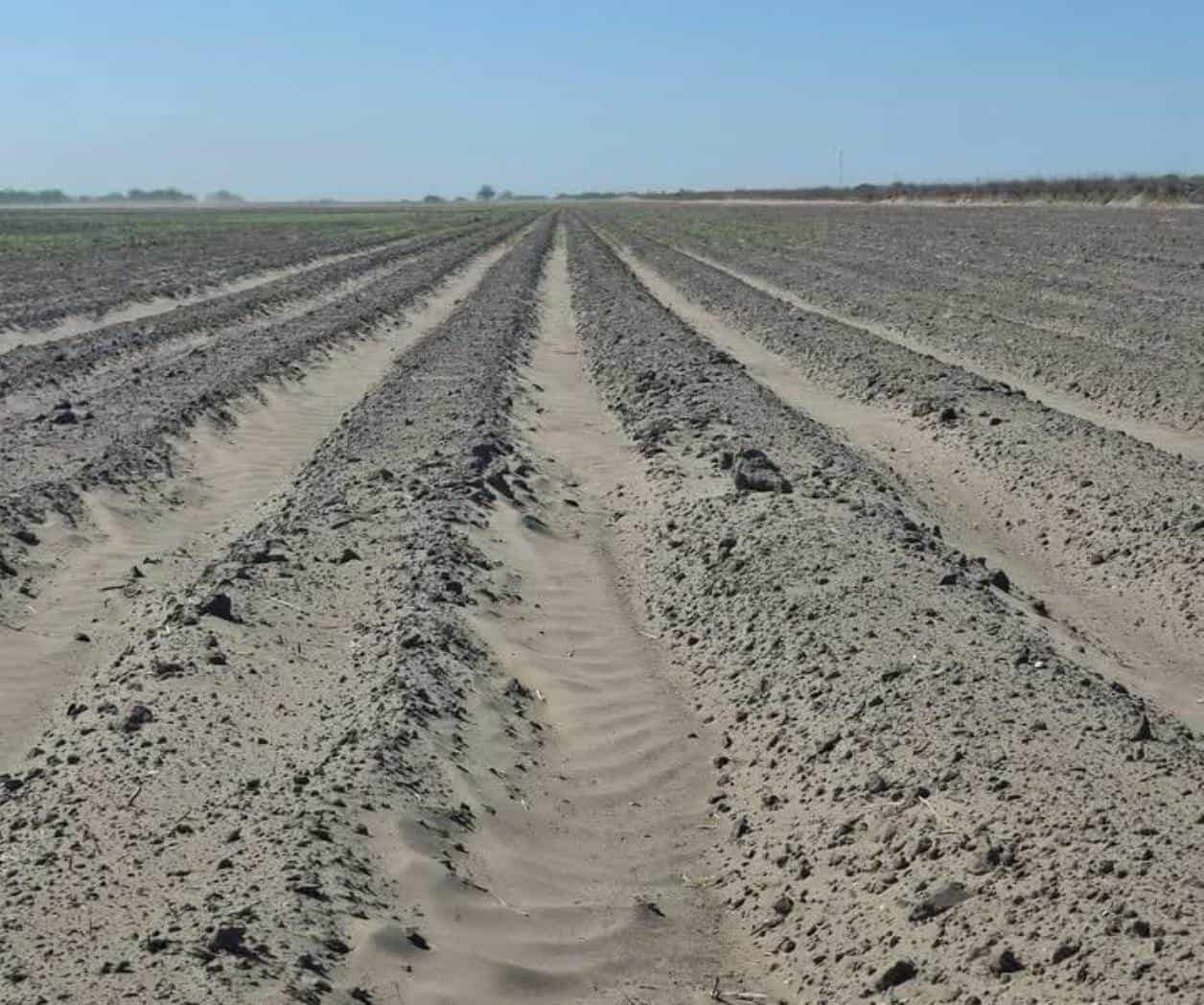 Sin apoyos, los campesinos dejarían tierras sin sembrar