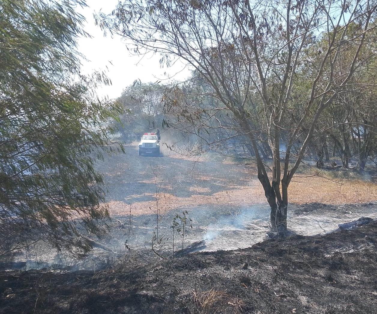 Incendios ponen en jaque  a cuerpos de emergencias
