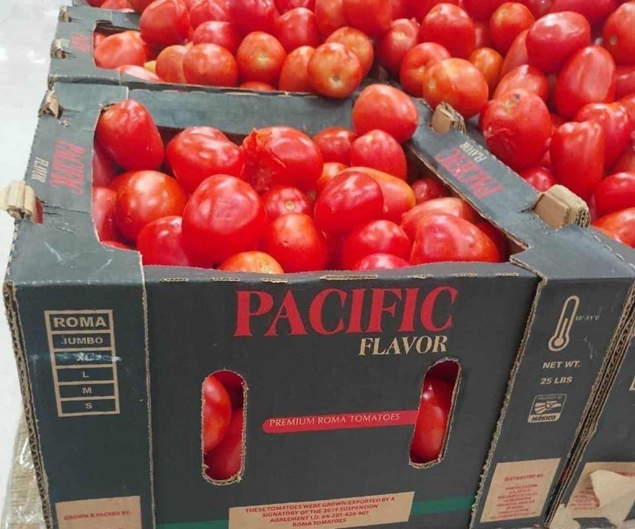 Cae precio de tomate