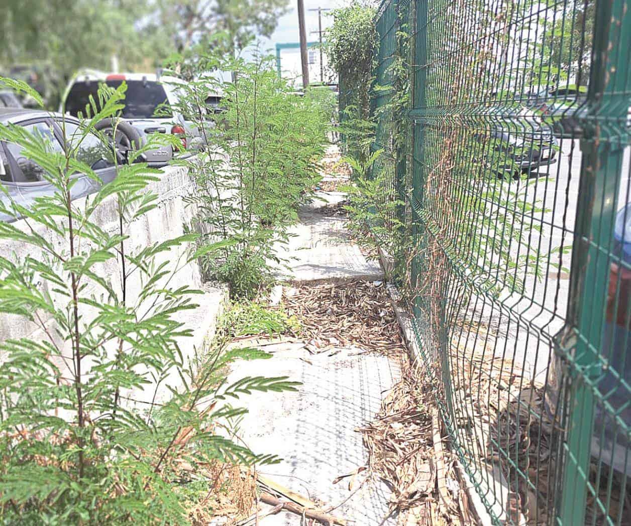 Caminan al hospital entre hierba y basura