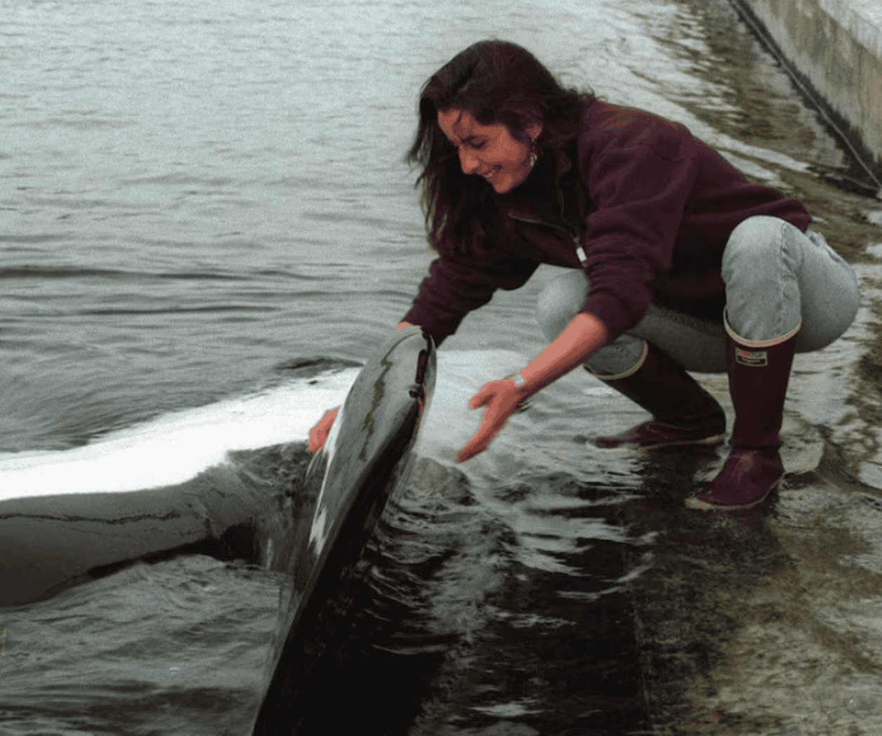 Netflix contará la historia de Keiko, la orca de Liberen a Willy