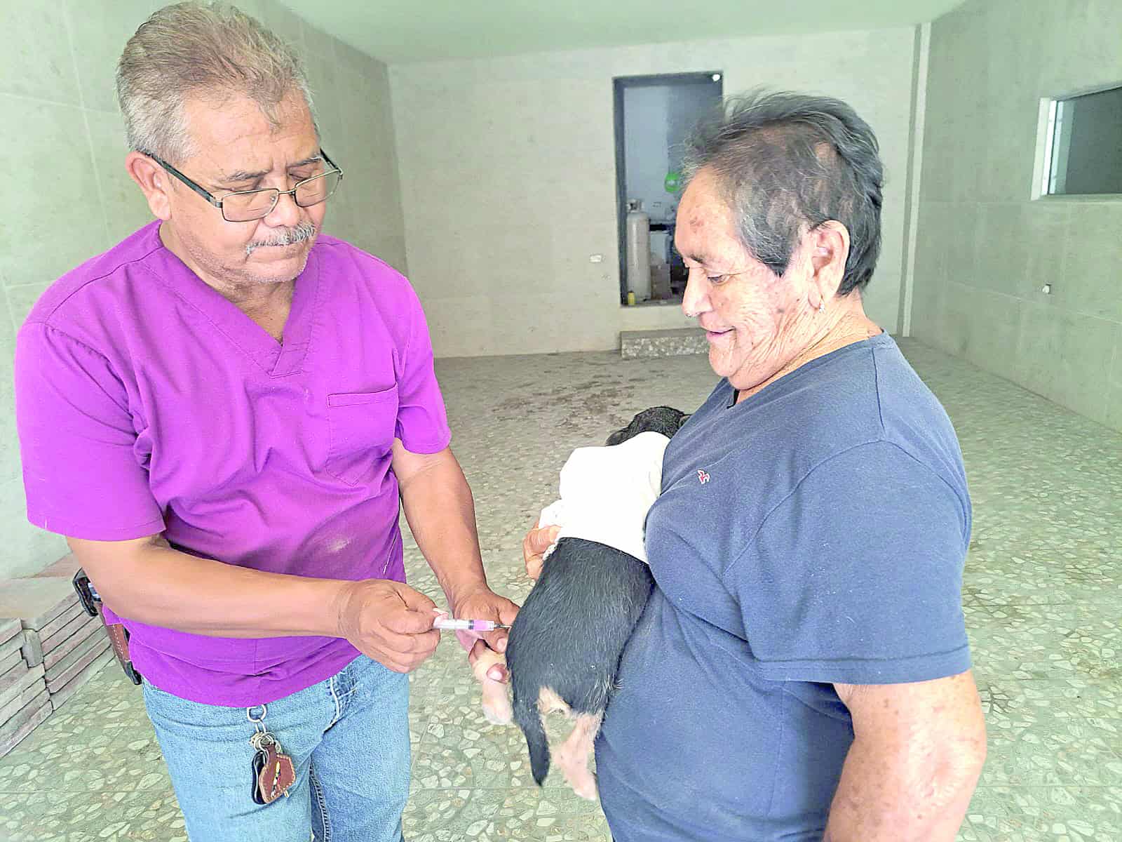 Refuerzan jornada de vacunación antirrábica