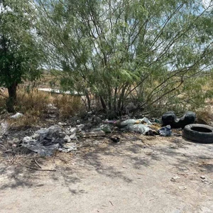 Crecen basura y maleza en caminos de El Rosario