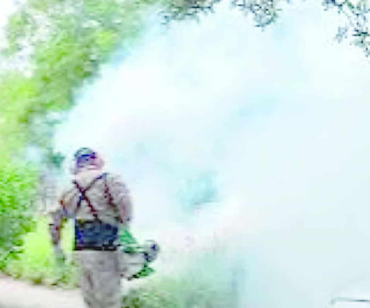Arranca hoy jornada contra el Dengue
