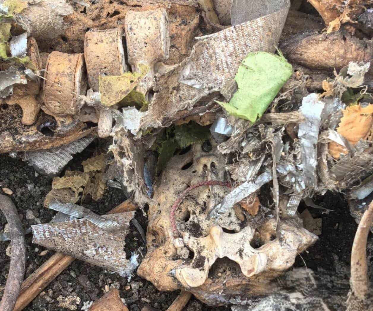 Encuentran osamenta en tumba clandestina
