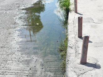 Brotan de nuevo las aguas negras