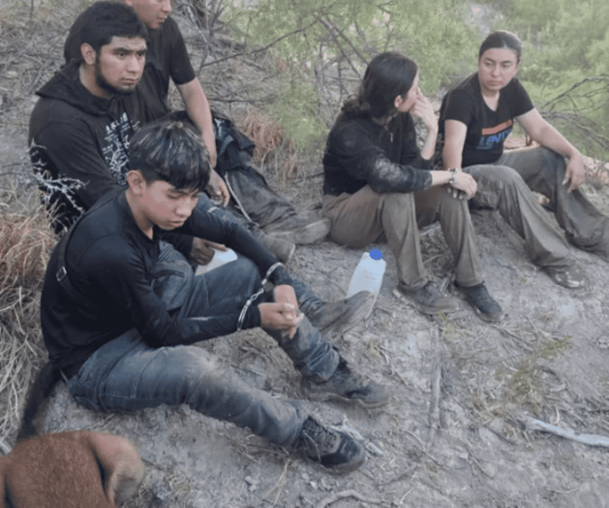 K9 del DPS hallan a 11 indocumentados