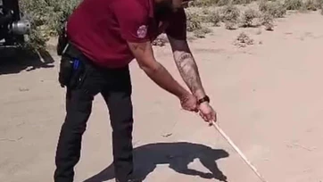 Sacan a serpiente de biblioteca de escuela