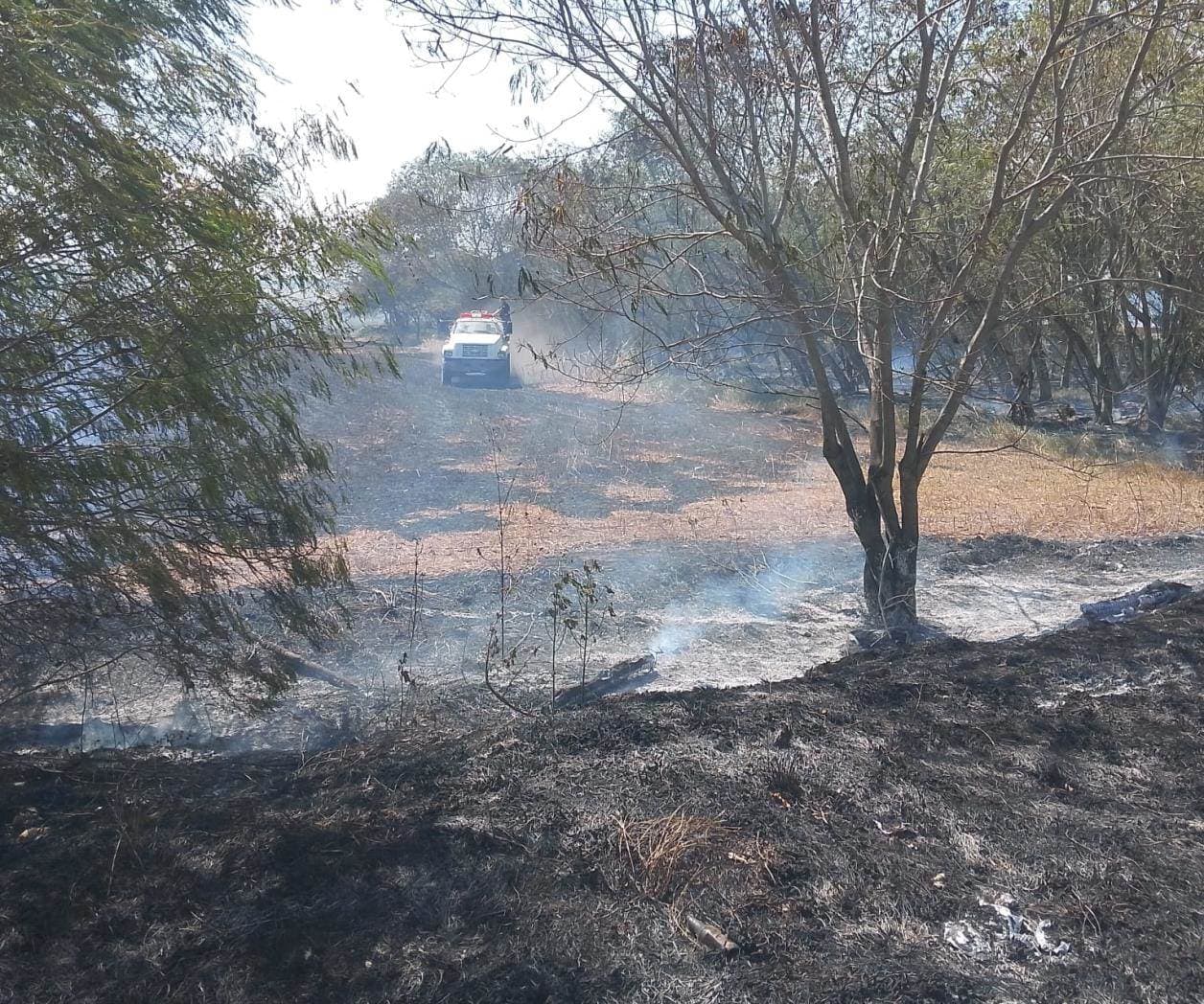 Incendios arrasan más de mil 500 hectáreas