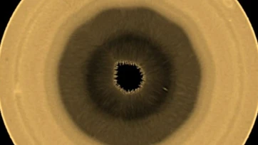Científicos encuentran un decágono giratorio en el polo sur de Saturno