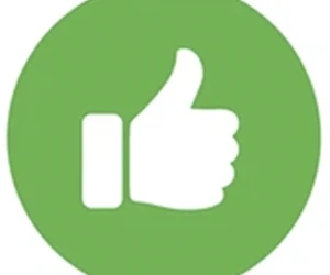 Si