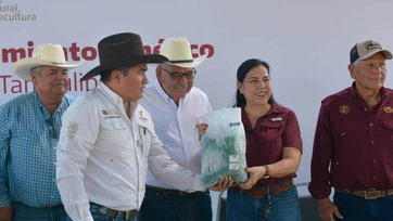 Subsidian 73 sementales bovinos para hatos en El Mante