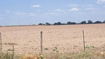 Sin lluvias se frenan siembras