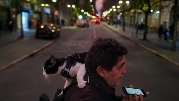 La OMS valida a Chile como el primer país de Sudamérica en erradicar la rabia transmitida por perros